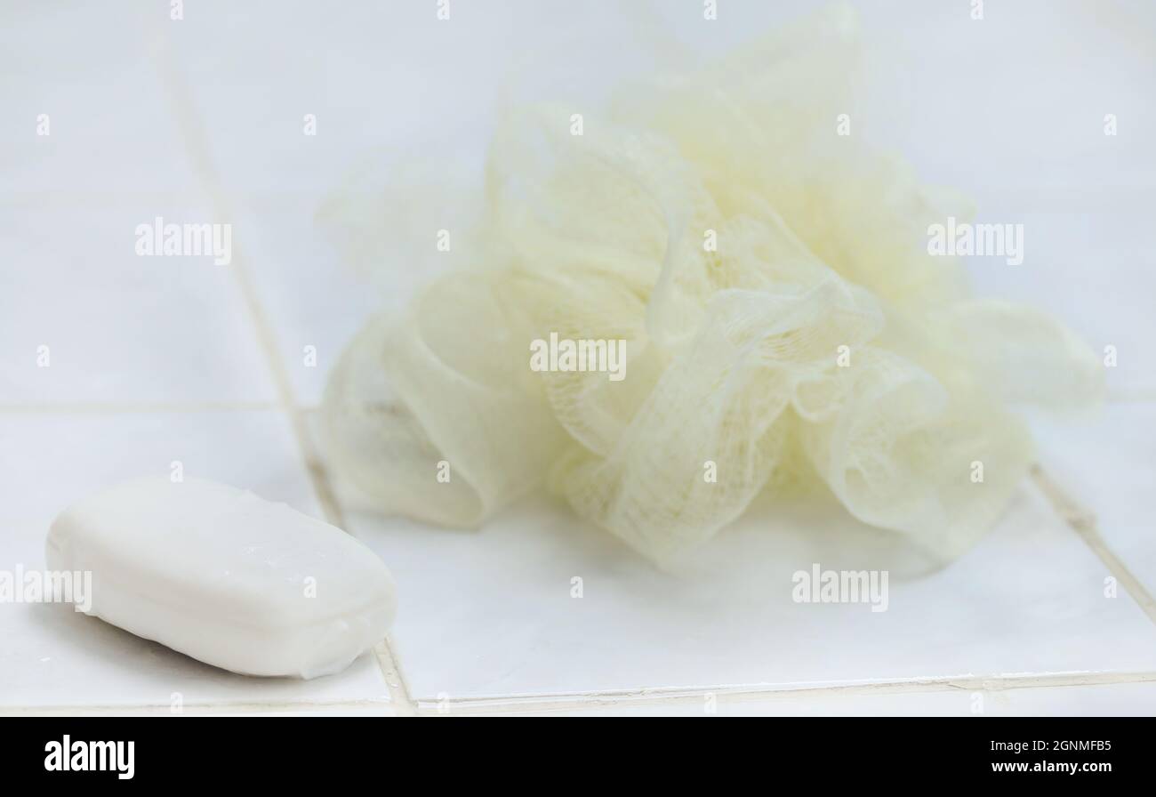 Body scrubber in a bathroom Stock Photo Alamy