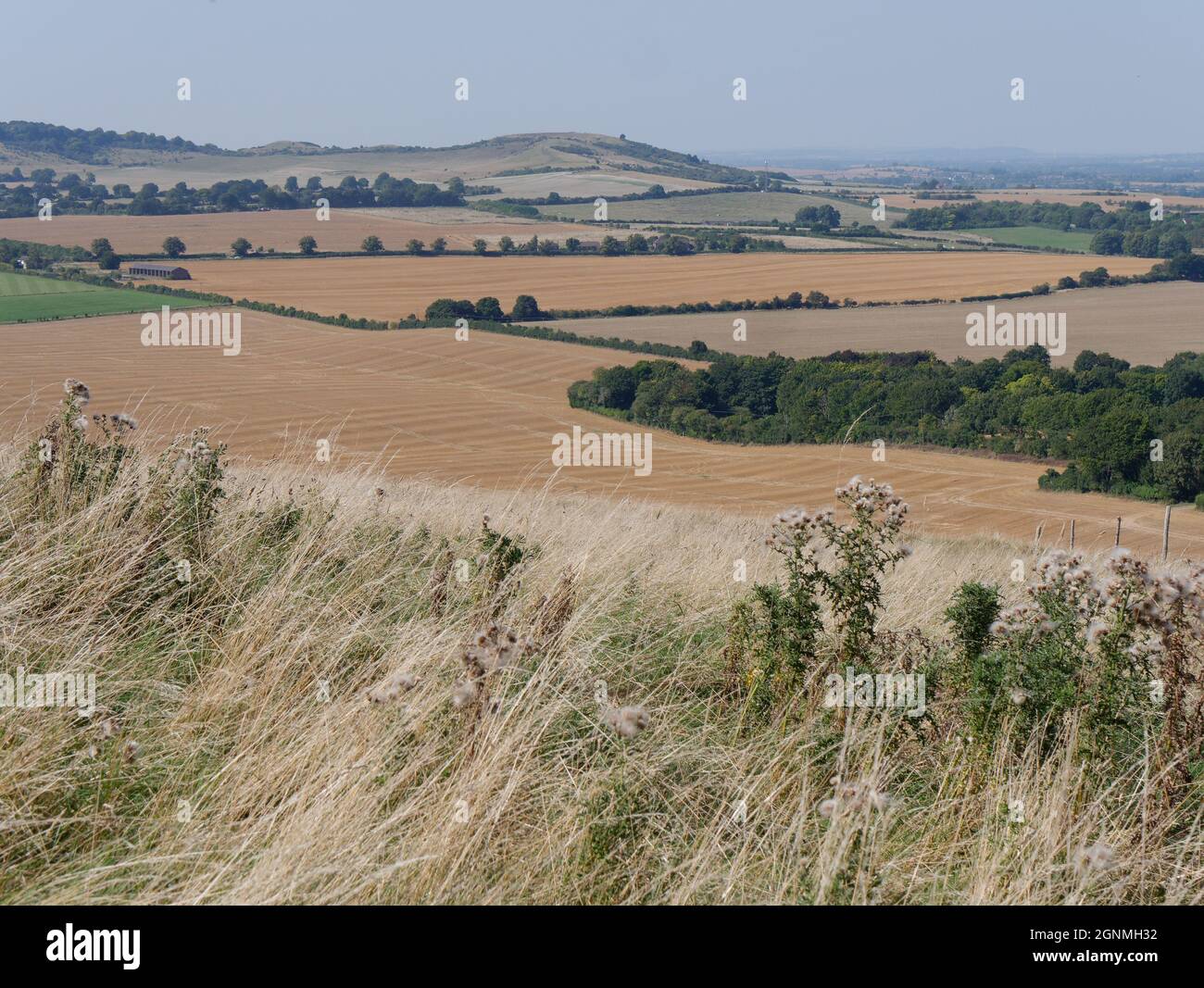 Rural scene near Dunstable Bedfordshire on a sunny late summers day. Stock Photo
