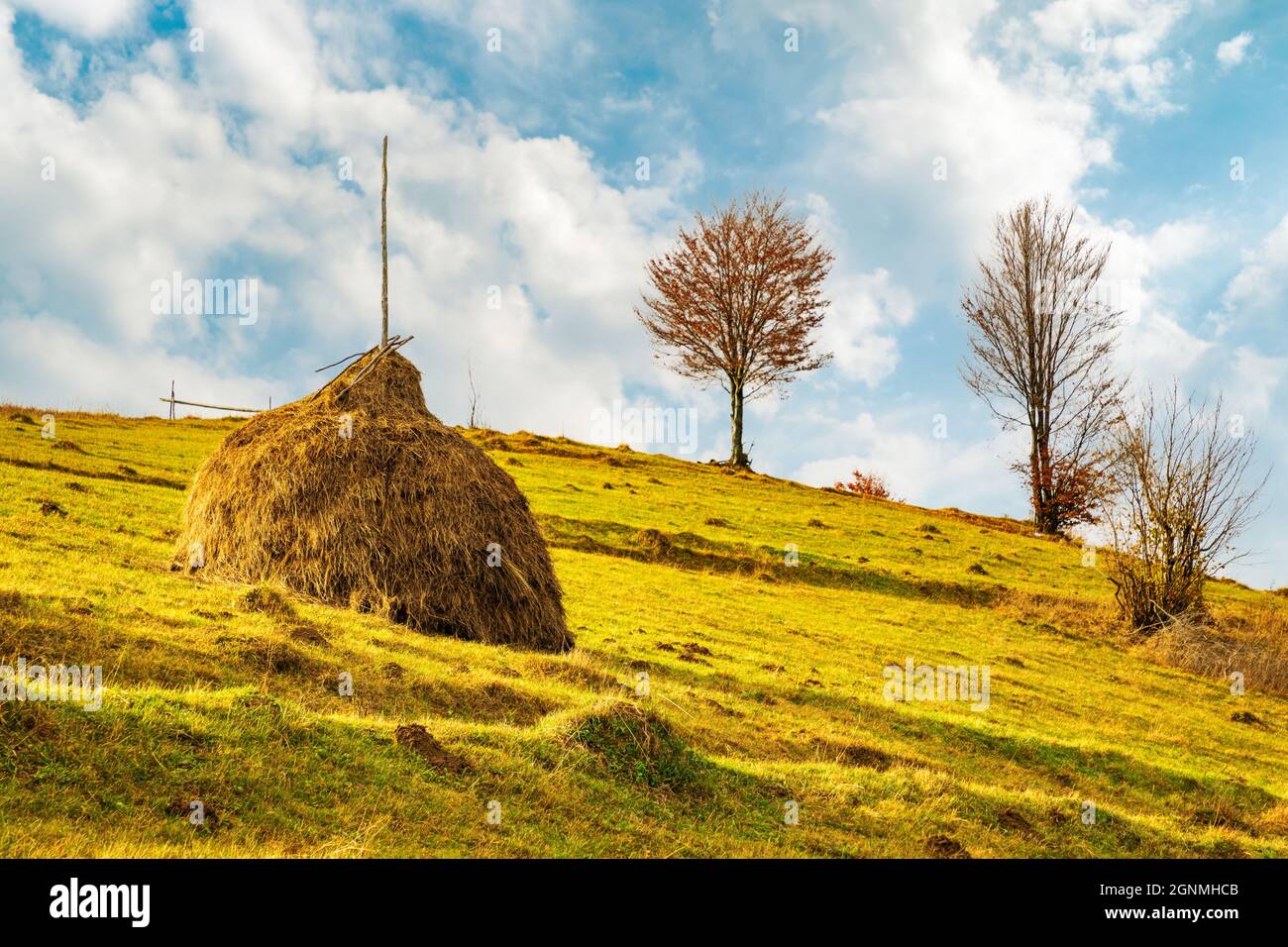 Sunrise in misty morning valley with haystack on grassland hill Stock ...