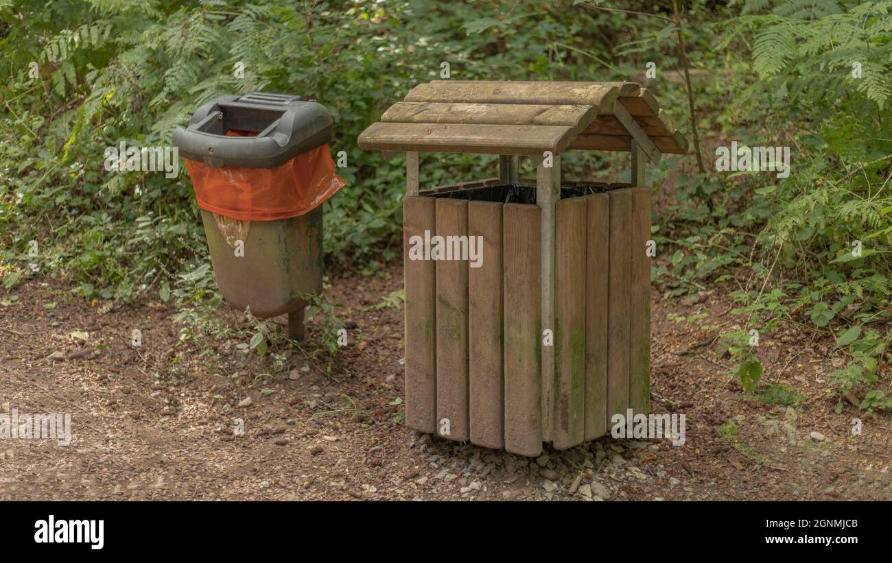 Wooden bin in woodland setting Stock Photo
