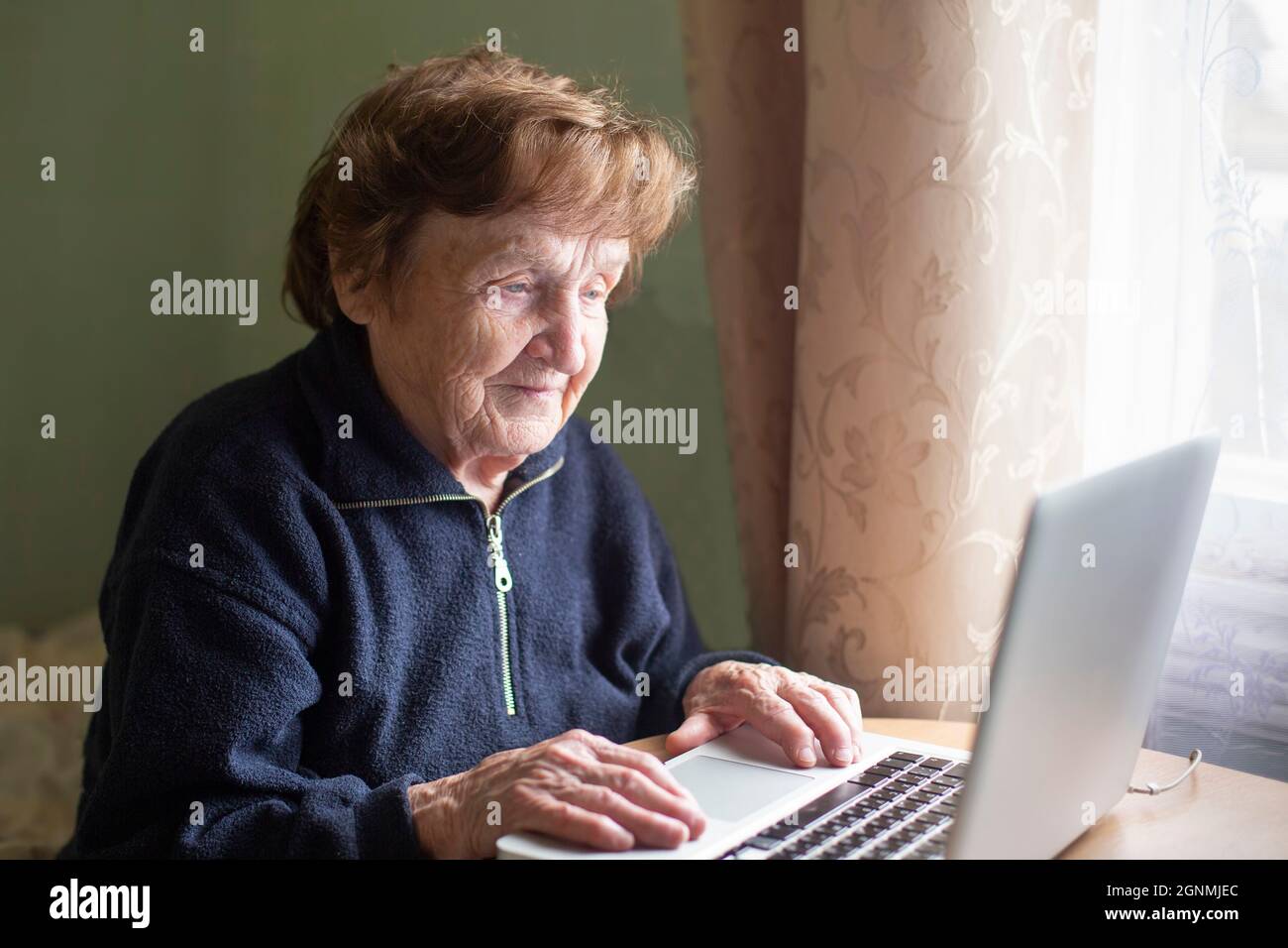 Old retired woman studying working on the computer. Stock Photo