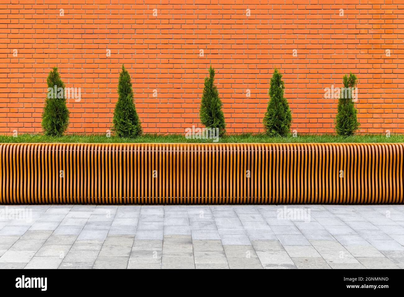 row of five small conical thuja trees in front of red brick wall and parametric plywood bench Stock Photo