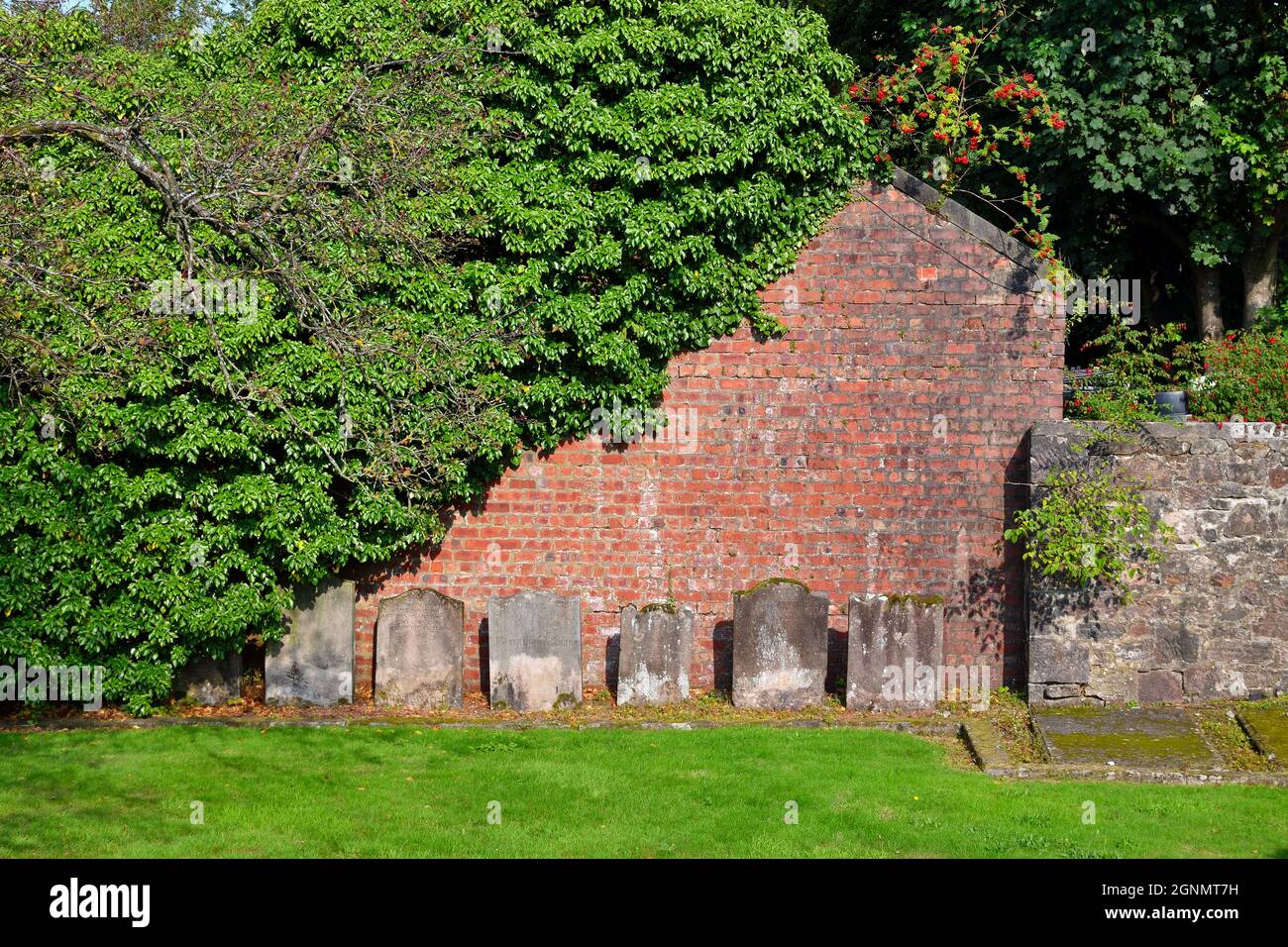 View of Gourock Stock Photo Alamy