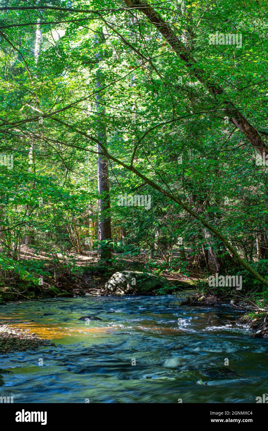 river running through the wilderness of otter river state park Stock
