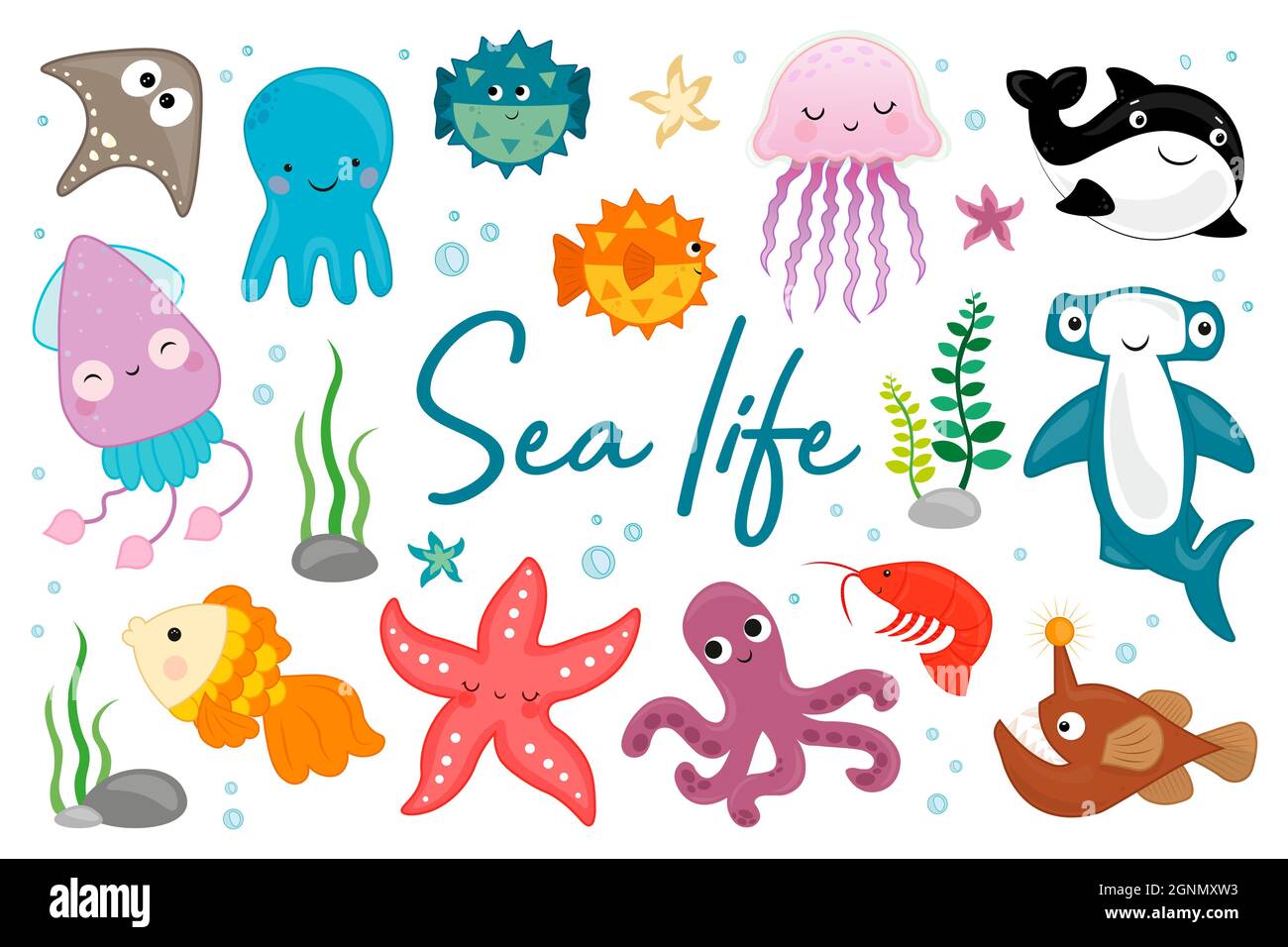 Sea life. fish, jellyfish, hammerhead shark, squid, octopus, whale,  starfish. Large set of cartoon sea creatures isolated on a white  background. Colle Stock Vector Image & Art - Alamy