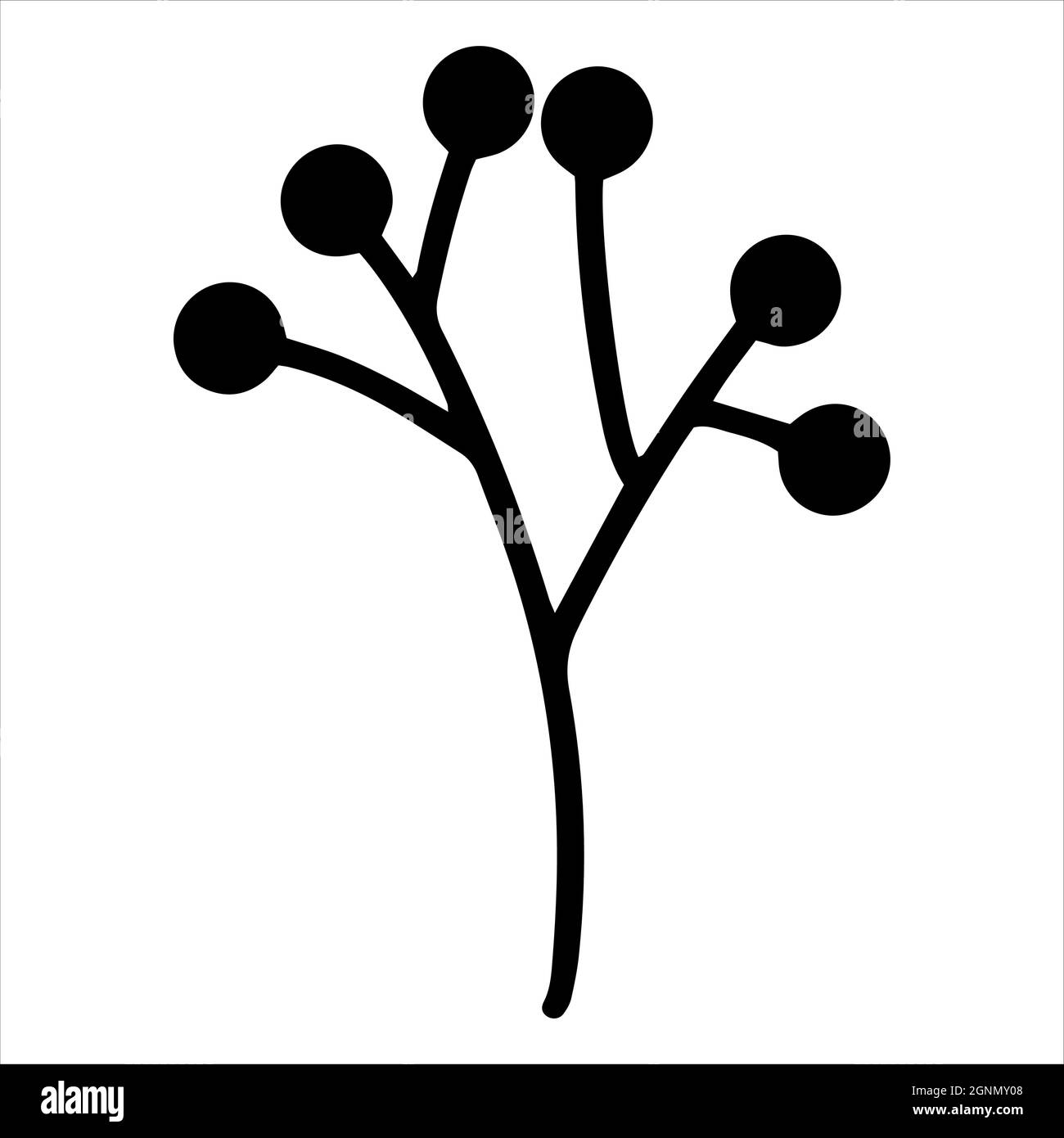 Hand drawn black berry Gelder rose plant on white background illustration. Beautiful winter branch logo icon element Graphic design handdrawn Christma Stock Vector