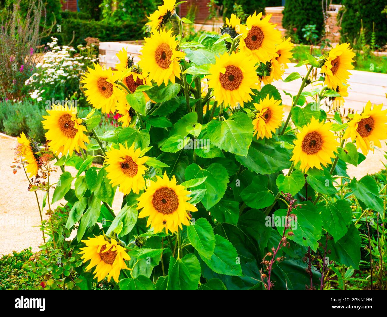 Kirleatham hires stock photography and images Alamy