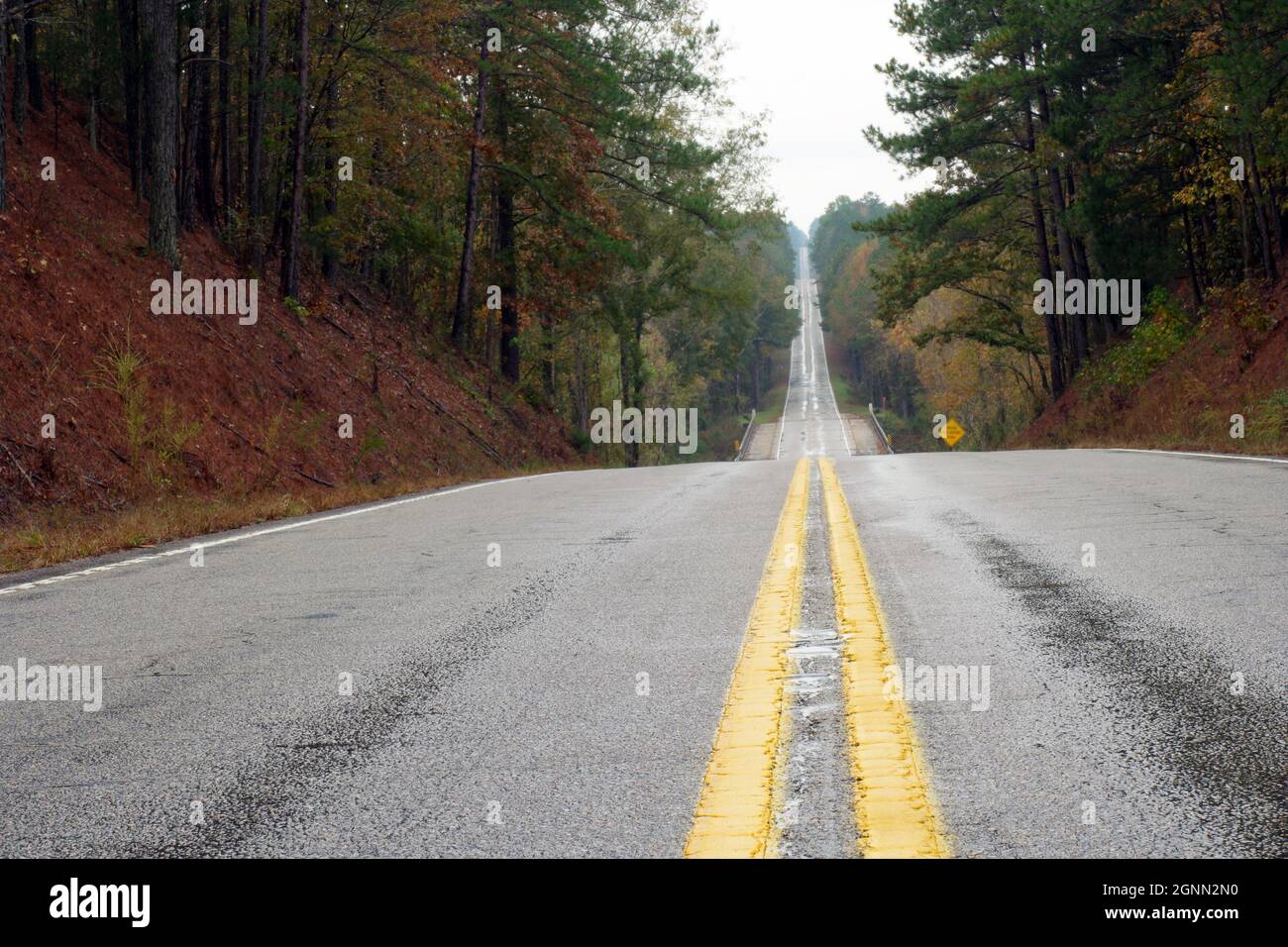 Deserted straight highway through fall trees in rain Stock Photo