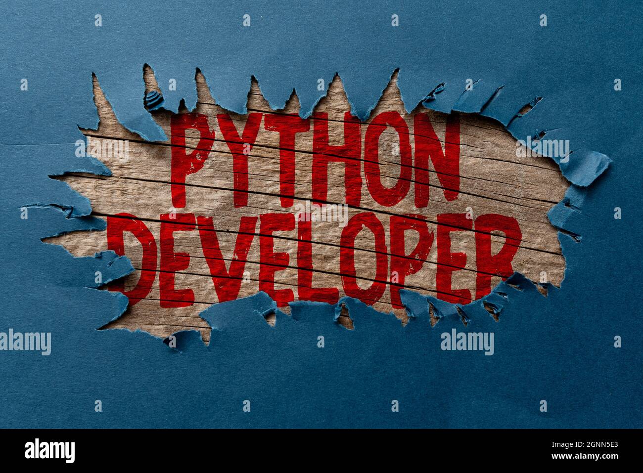 Conceptual caption Python Developer. Concept meaning responsible for ...