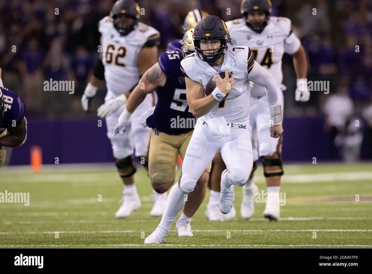California Golden Bears quarterback Chase Garbers (7) scrambles up the field during the 4th quarter of an NCAA college football game against the Washi Stock Photo