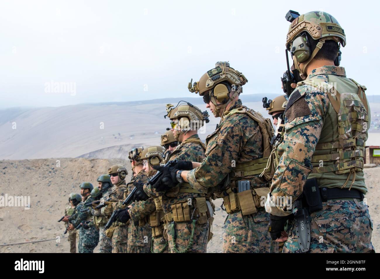 2nd Reconnaissance Battalion High Resolution Stock Photography and Images -  Alamy