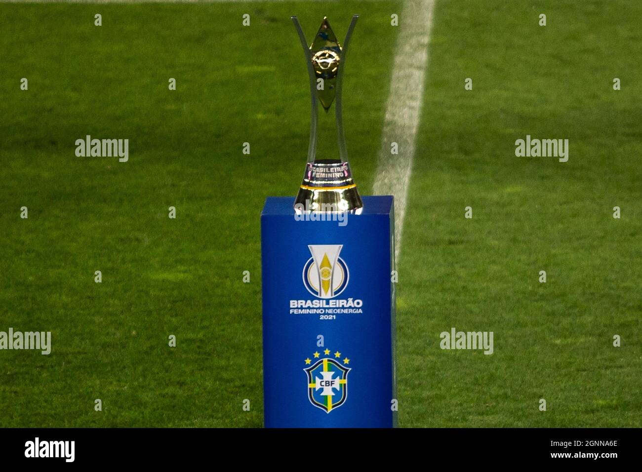 Brasileirão (Brazilian Série A) trophy  Brasileirao, Gigante palmeiras,  Futebol de rua