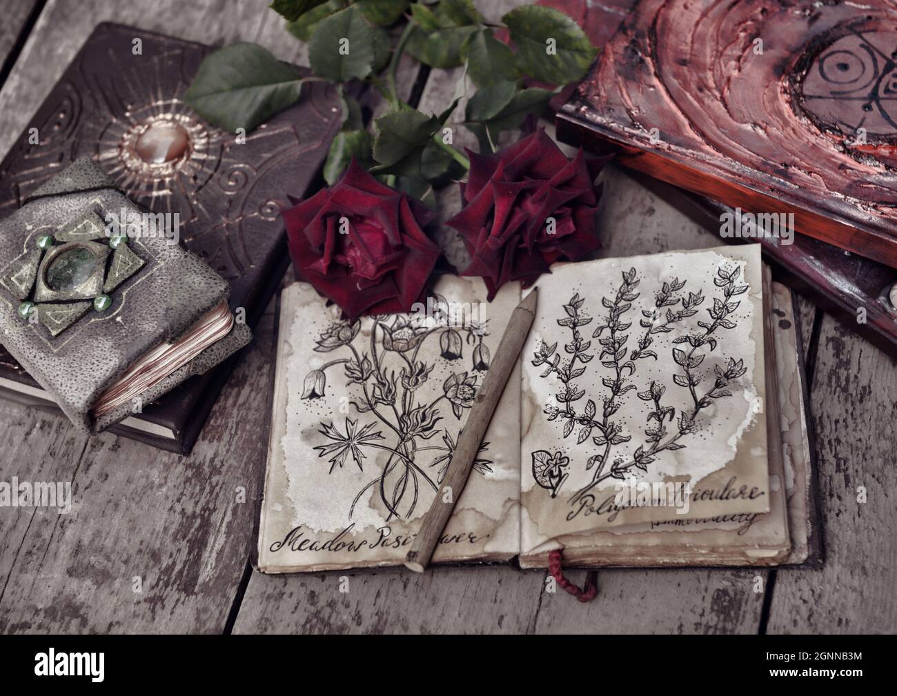 Vintage flower drawings hi-res stock photography and images - Alamy