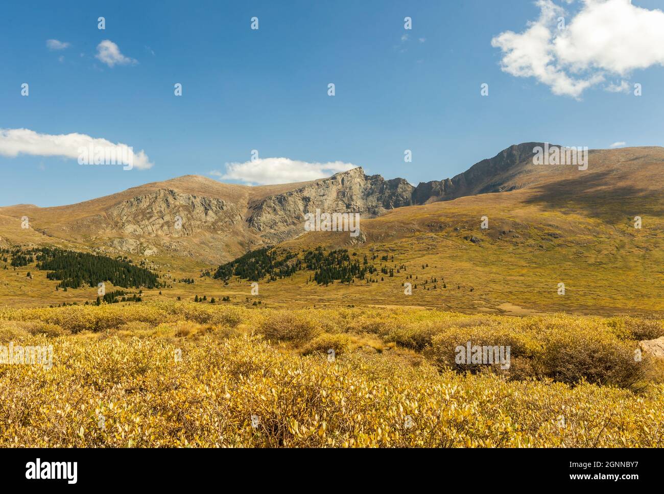 Panoramic view of Mount Bierstadt at Guanella pass in Colorado Stock Photo