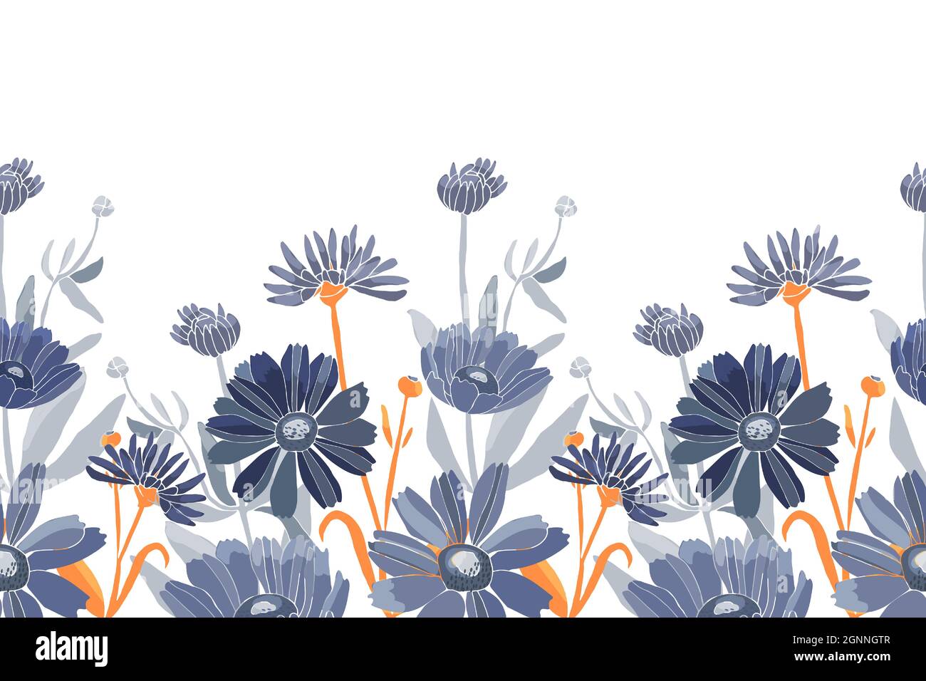 Vector floral seamless pattern. Blue flowers isolated on a white ...