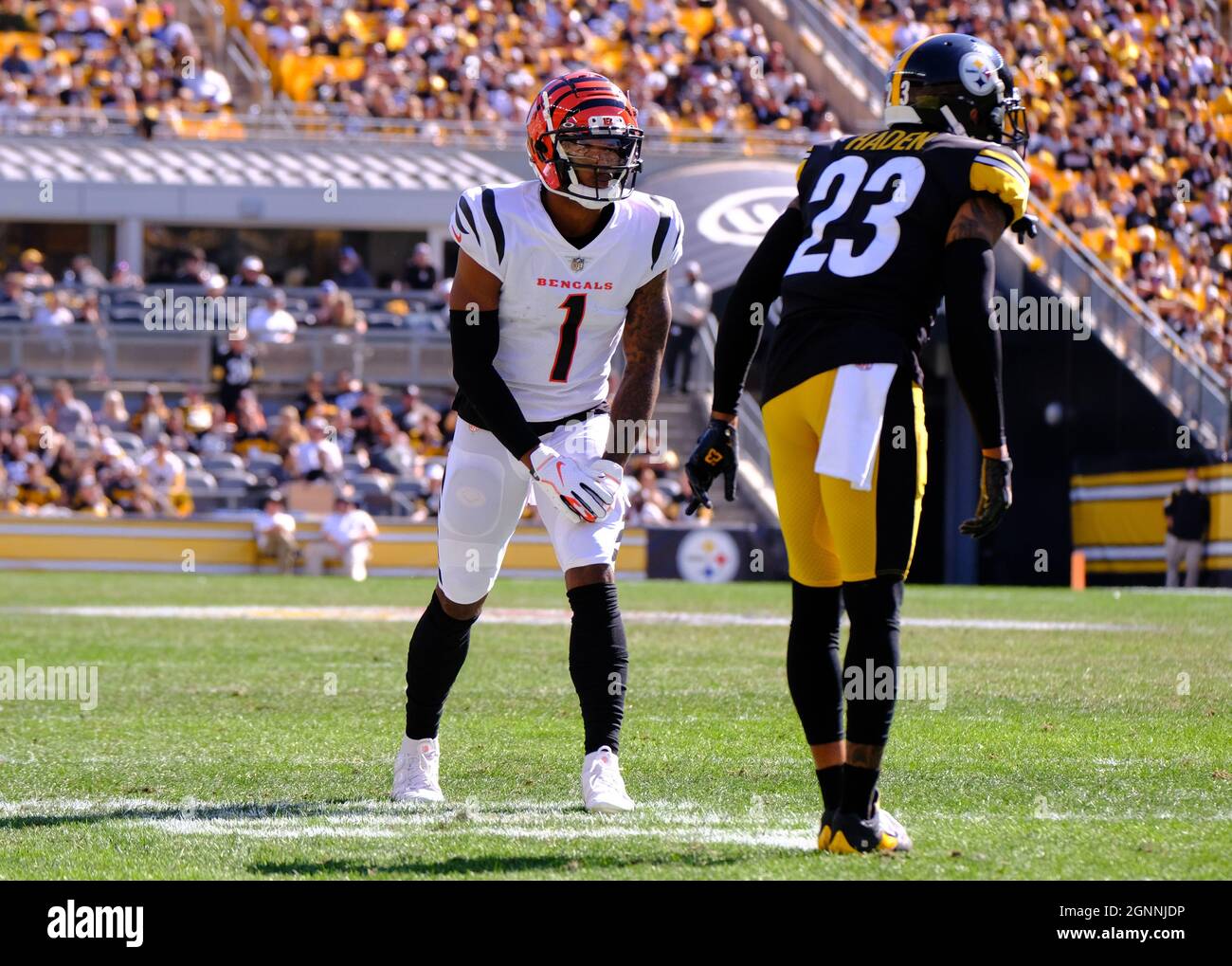Pittsburgh Steelers Live Game pittsburgh-steelers-live-game
