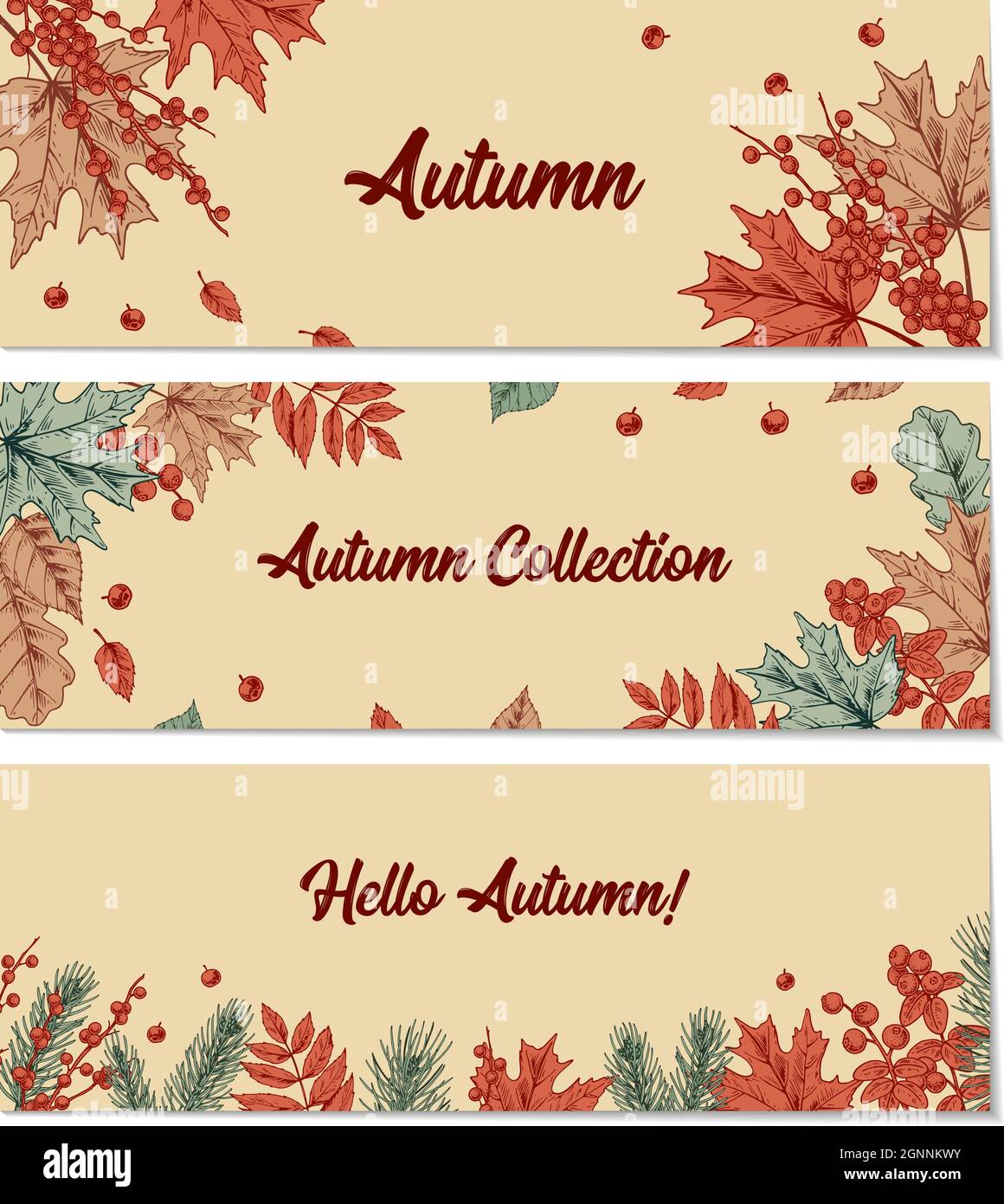 Set of colorful Autumn designs with leaves, fir tree branches and berries. Hand drawn vector illustration. Warm wishes Stock Vector