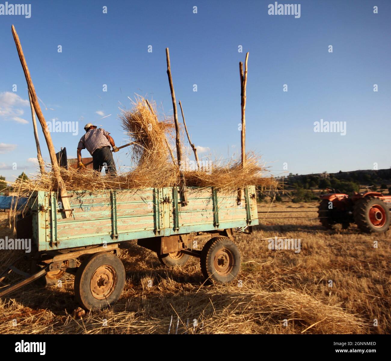 Turkey farmer grain hi-res stock photography and images - Alamy