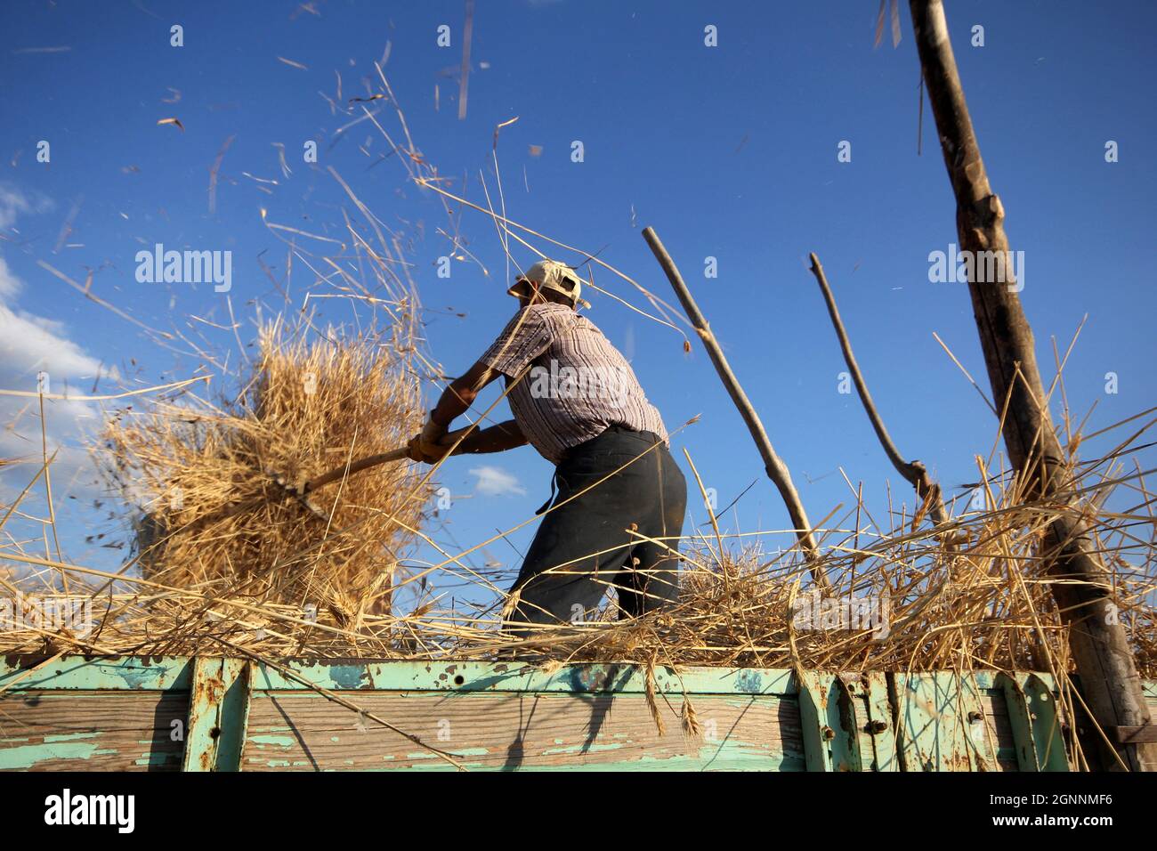 Turkey farmer grain hi-res stock photography and images - Alamy