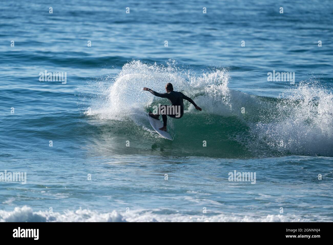 perfect surf wave