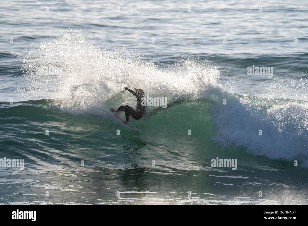 Surfer, surfing the perfect wave. Pro surf training in the sea doing