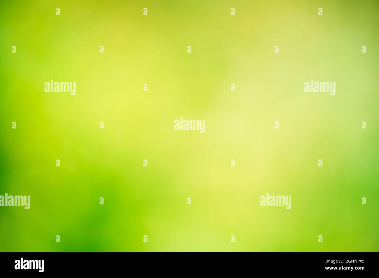 Beautiful nature abstract background with variants of green color. Stock Photo