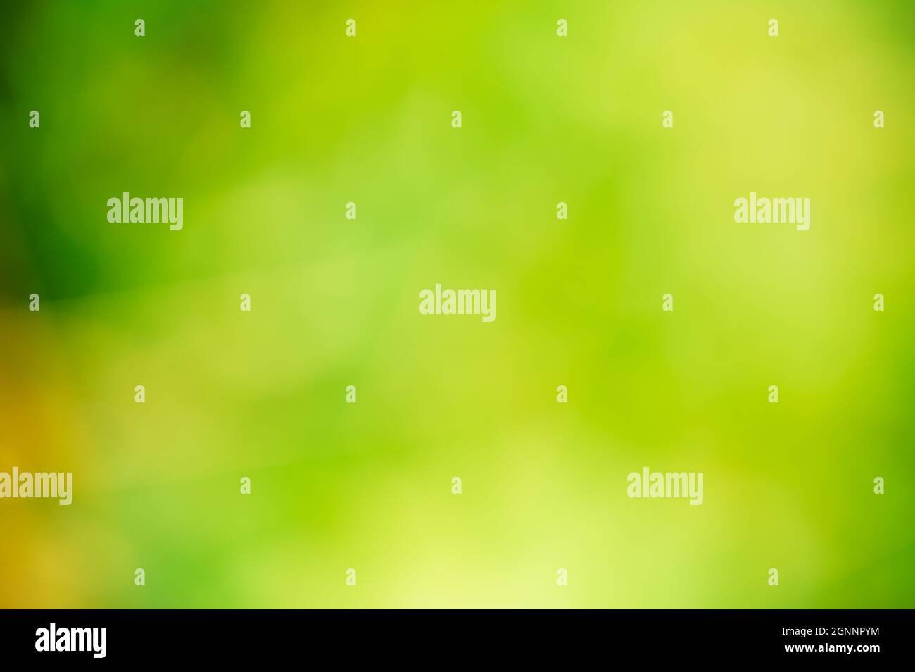 Beautiful nature abstract background with variants of green color. Stock Photo