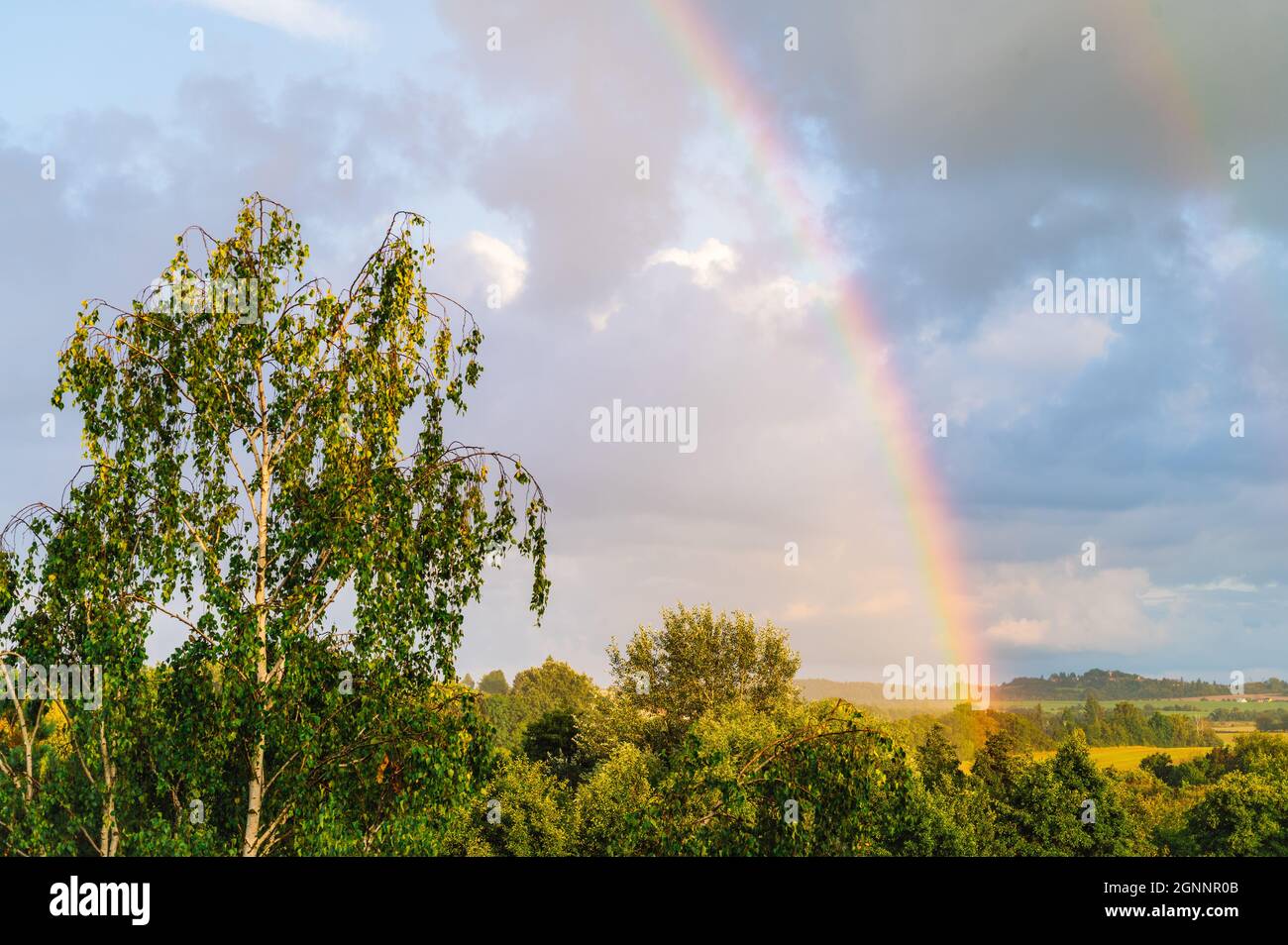 Landscape view with rainbow, green meadows and trees, rain and rainbow in the sky. Stock Photo