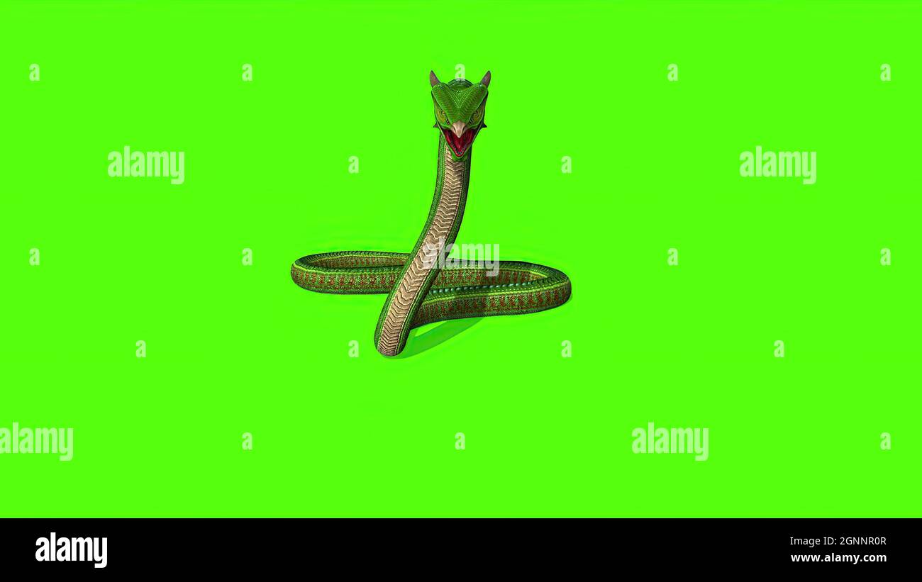 3d illustration - Snake Python on Green Screen background Stock Photo ...