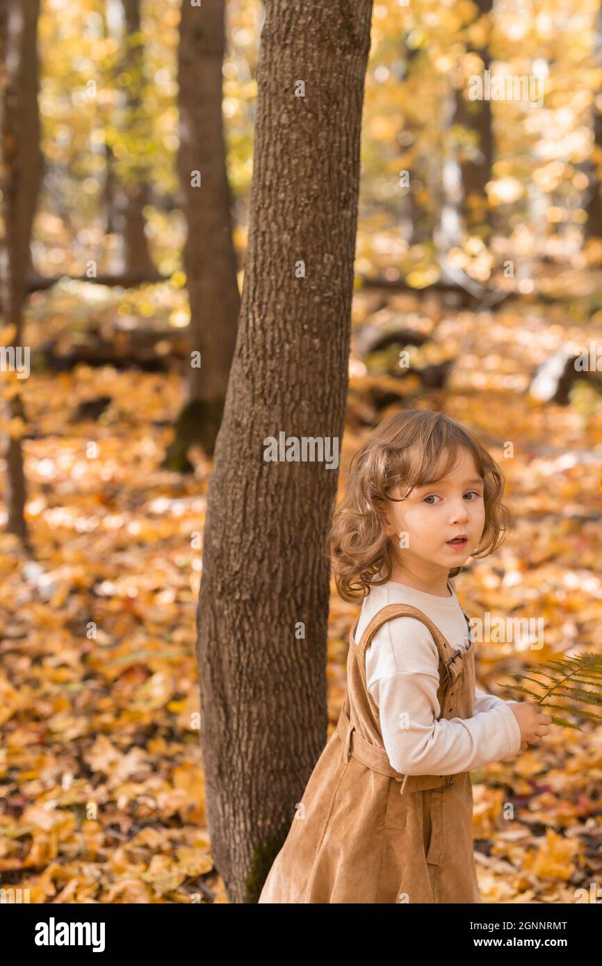 Little kid girl with autumn orange leaves in a park. Lifestyle, fall ...