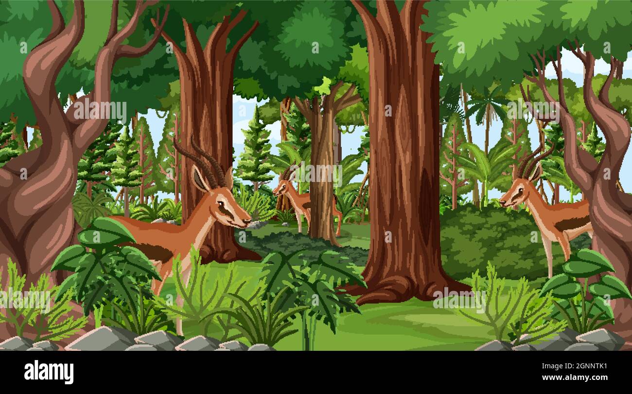 Wild animals in forest landscape background illustration Stock Vector ...