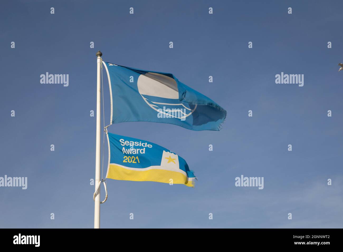 Blue flag award 2021 flying on Widemouth Bay in North Devon against ...