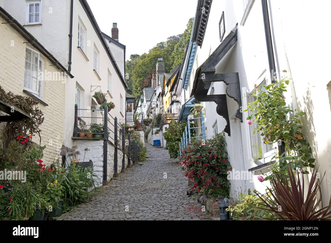 White cottages either side of the cobbled street built from pebbles from the beach in the ancient village of Clovelly where Charles Kingsley lived as Stock Photo