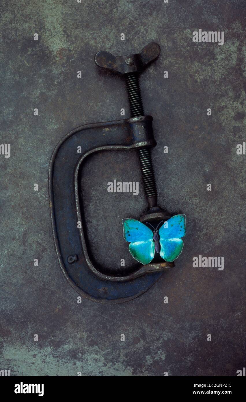 Used G-clamp lying on tarnished metal with blue butterfly brooch being put under pressure Stock Photo