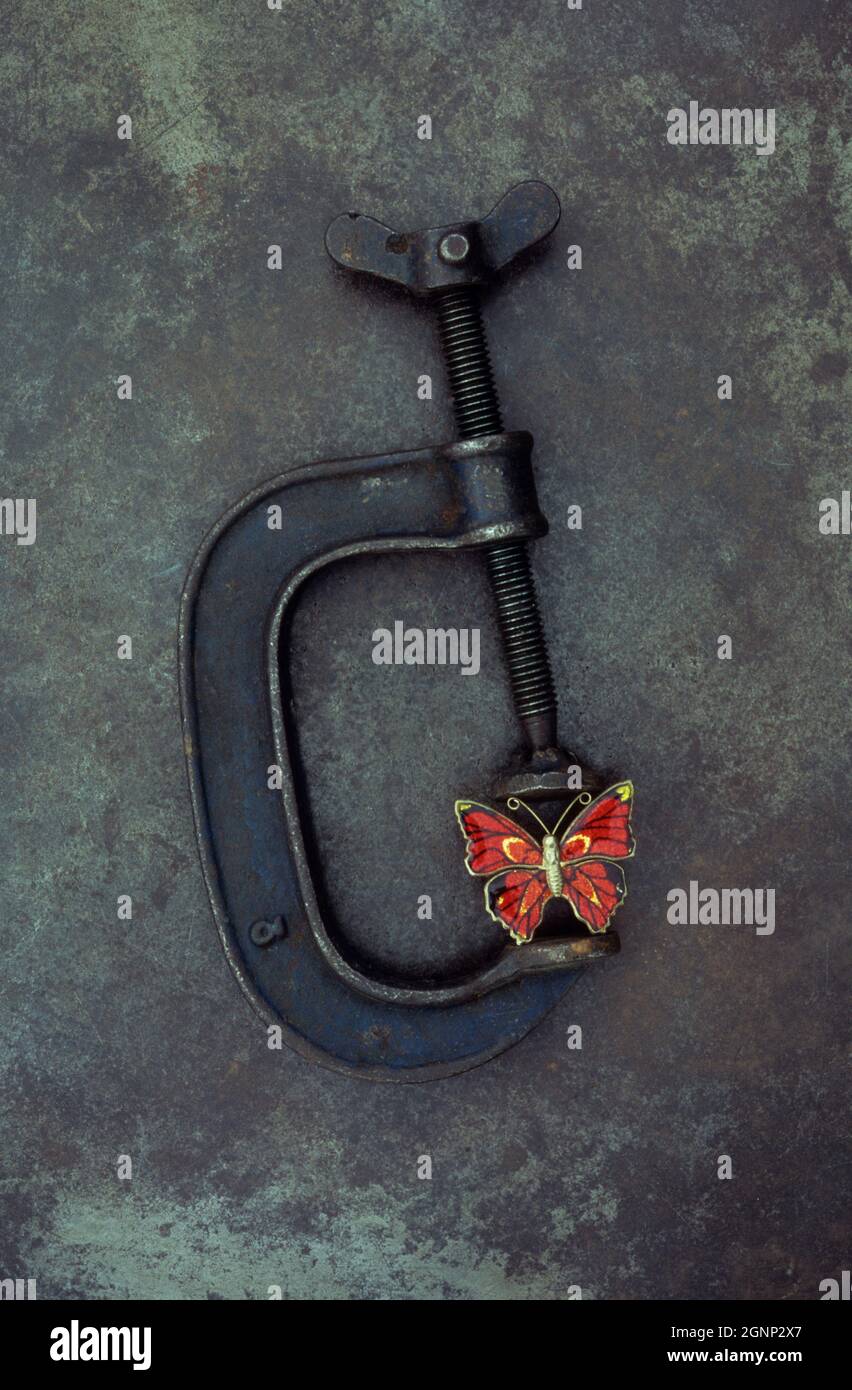 Used G-clamp lying on tarnished metal with redbutterfly brooch being put under pressure Stock Photo