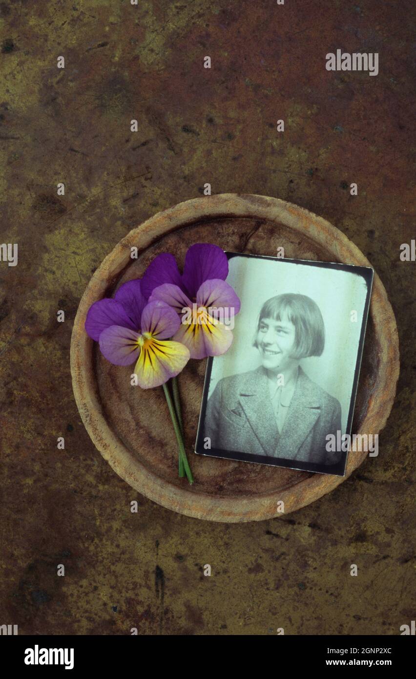 Wooden plate containing two Pansies or Viola tricolor with photo of 1930s young woman Stock Photo
