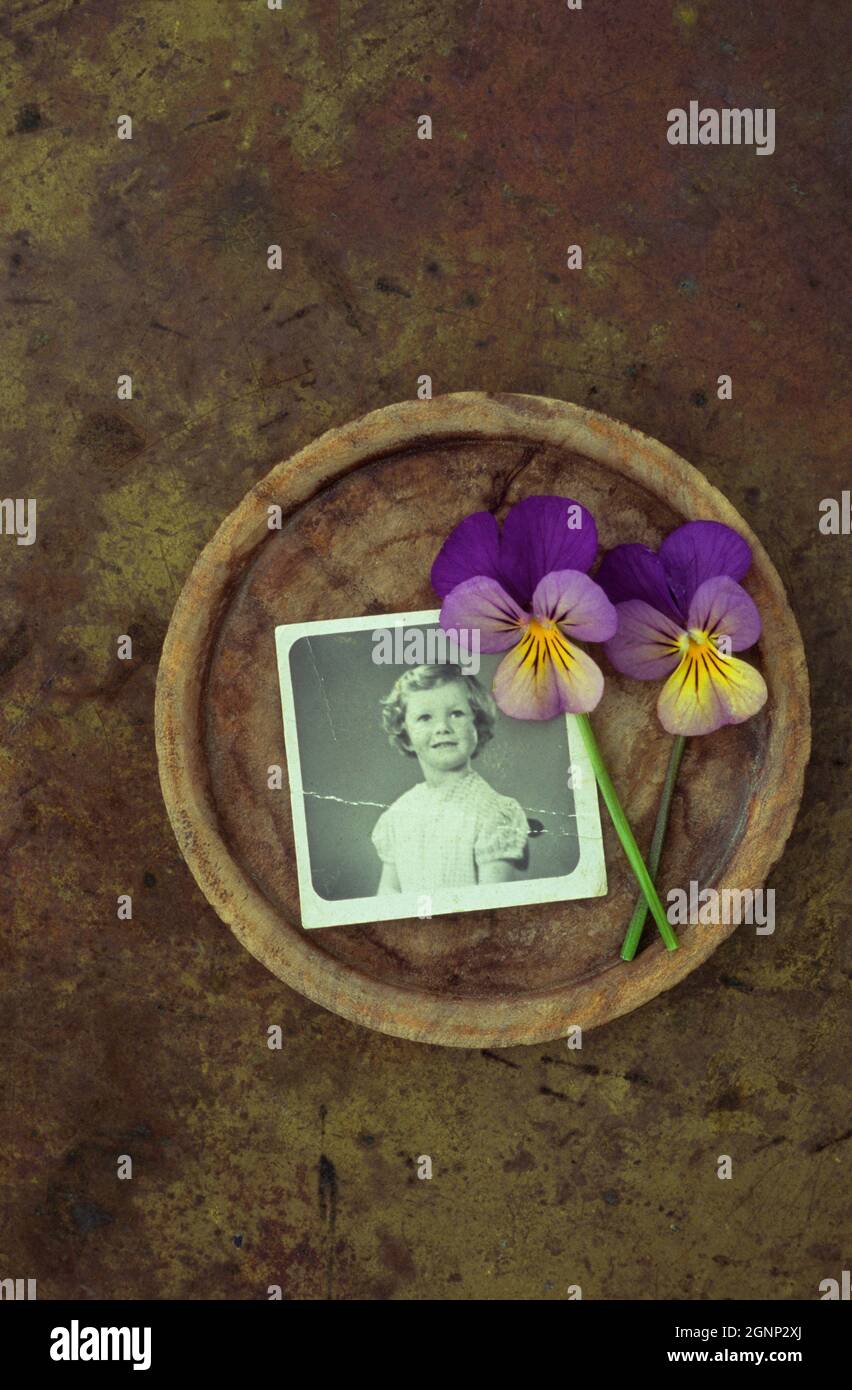 Wooden plate containing two Pansies or Viola tricolor with photo of 1950s young girl Stock Photo