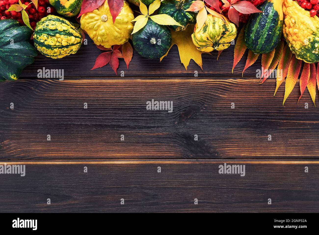 Autumn background with pumpkins, fallen colorful leaves on a dark wooden table. Happy Thanksgiving concept. Flat lay, copy space for text Stock Photo