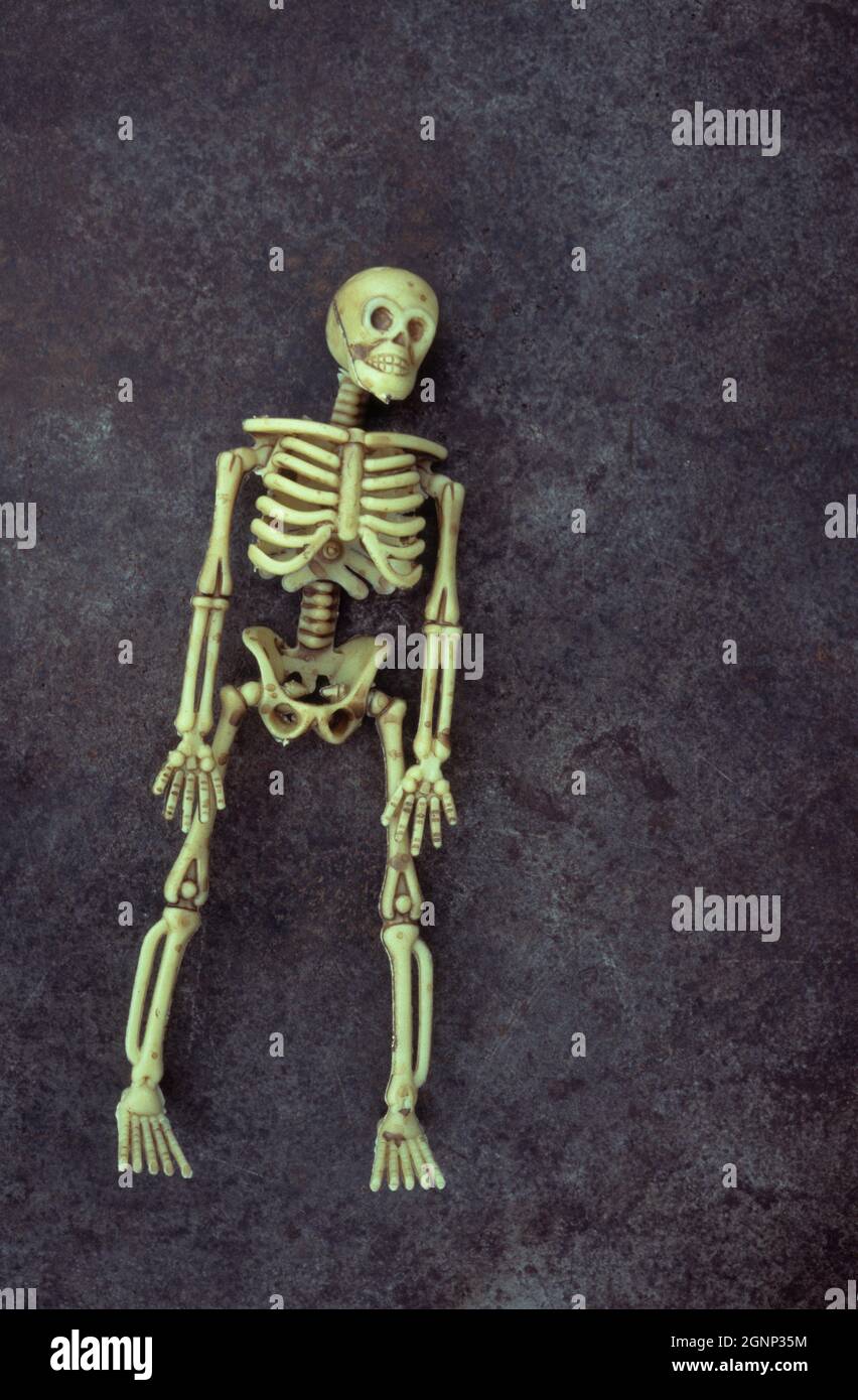 Plastic model of human skeleton lying on its back on tarnished metal Stock Photo