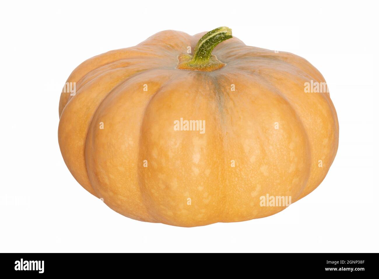 whole orange ripe pumpkin isolated on white background Stock Photo - Alamy