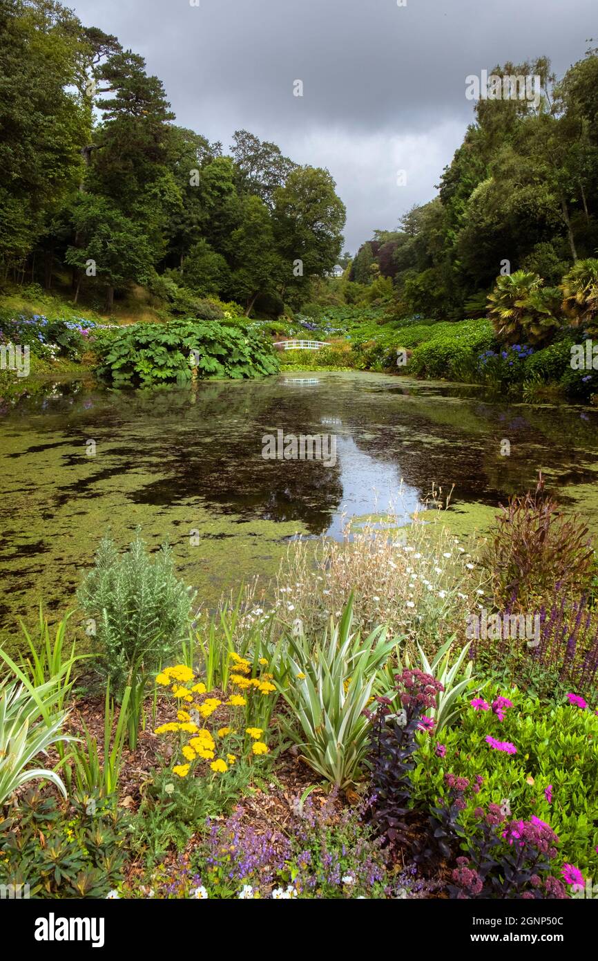 The iconic view of the Mallard Pond and the wooded valley of Trebah Gardens in Cornwall. Stock Photo