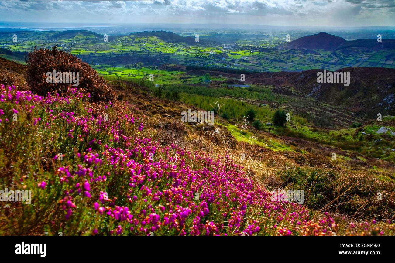 View from Slieve Gullion Ring of Gullion South Armagh Northern Ireland Stock Photo