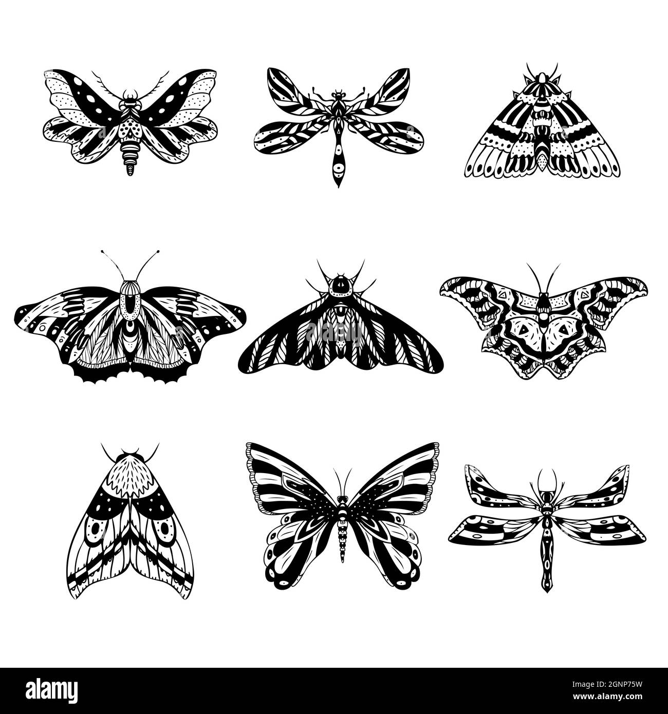 Set of vector night butterflies, moths. Hand drawn illustration Stock Vector Image & Art Alamy