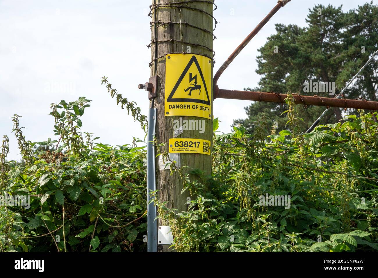 A triangular 'Danger of Death' warning sign on a wooden pole carrying power Stock Photo