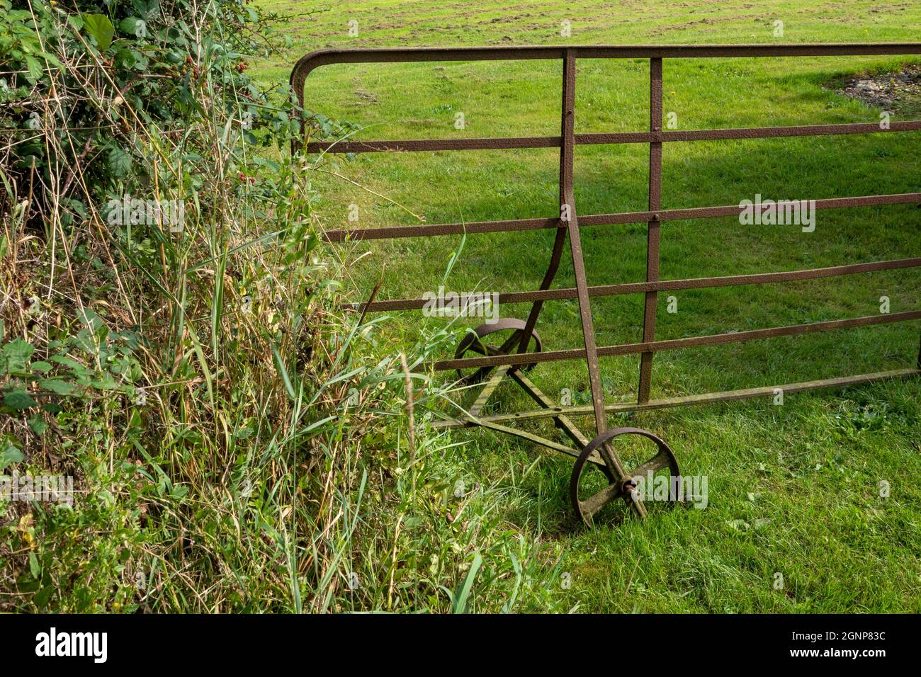 Iron farm field gate with single set of double iron wheels at the entrance of a grass covered field Stock Photo