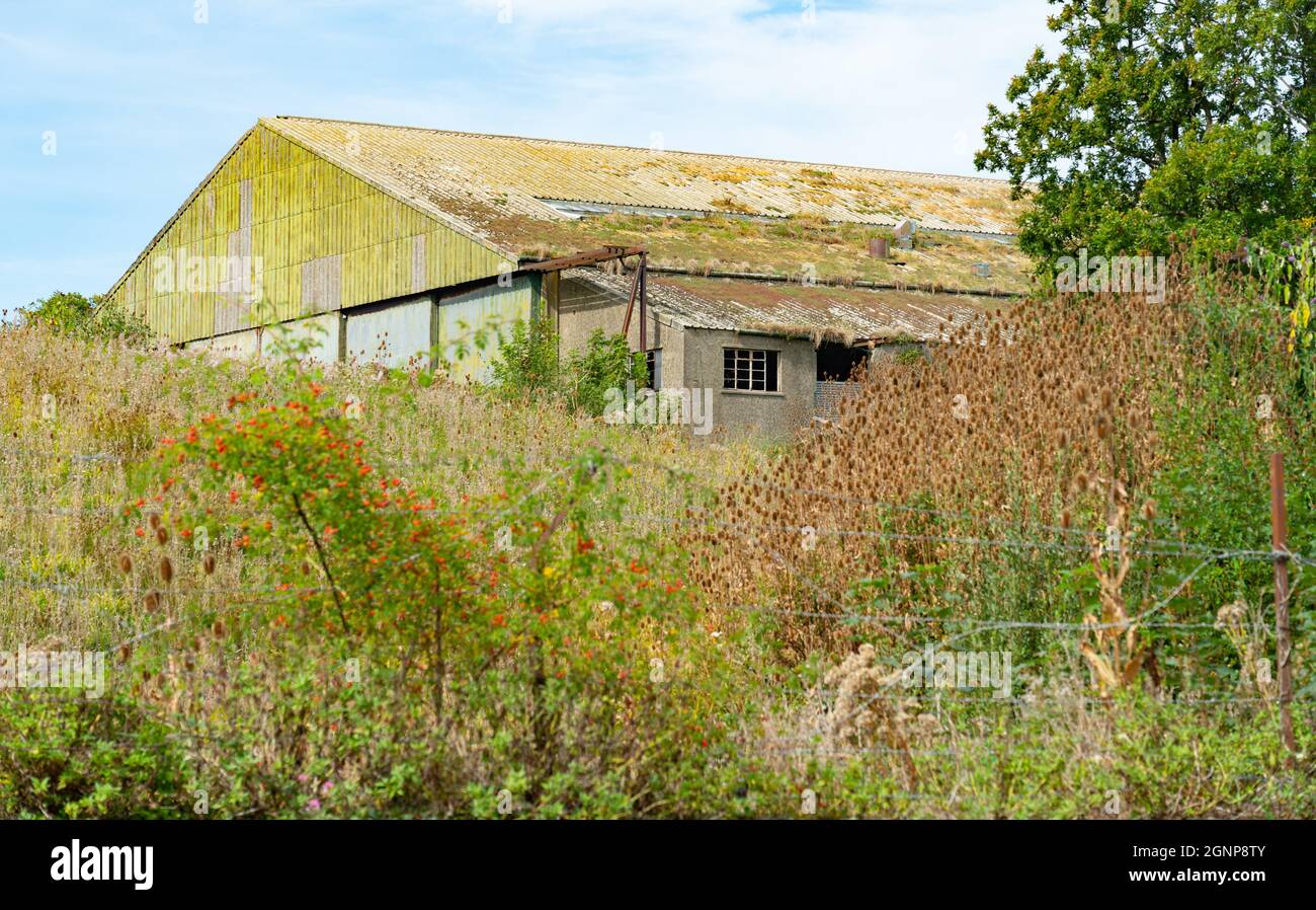 The derelict factory of Lairds of Anglesey, near Llangoed, Anglesey, North Wales. Taken in September 2021. Stock Photo