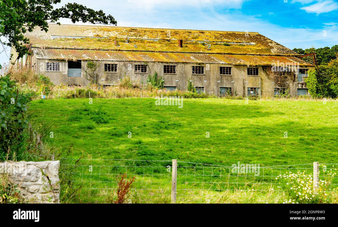 The derelict factory of Lairds of Anglesey, near Llangoed, Anglesey, North Wales. Taken in September 2021. Stock Photo
