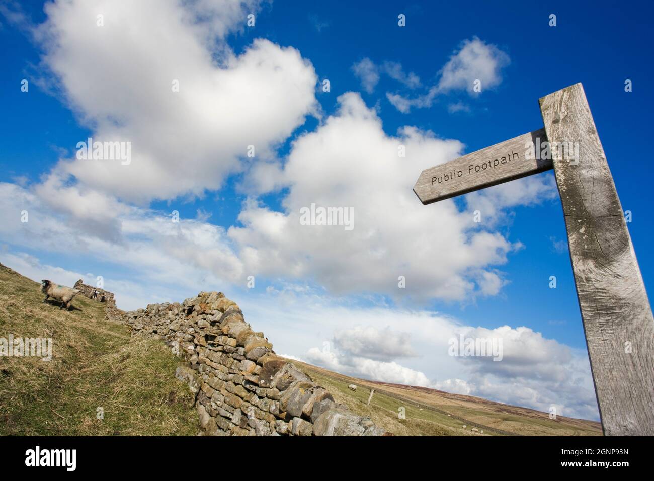 Footpath sign on upland sheep farm, Upper Teesdale, North Pennines AONB, County Durham, UK Stock Photo