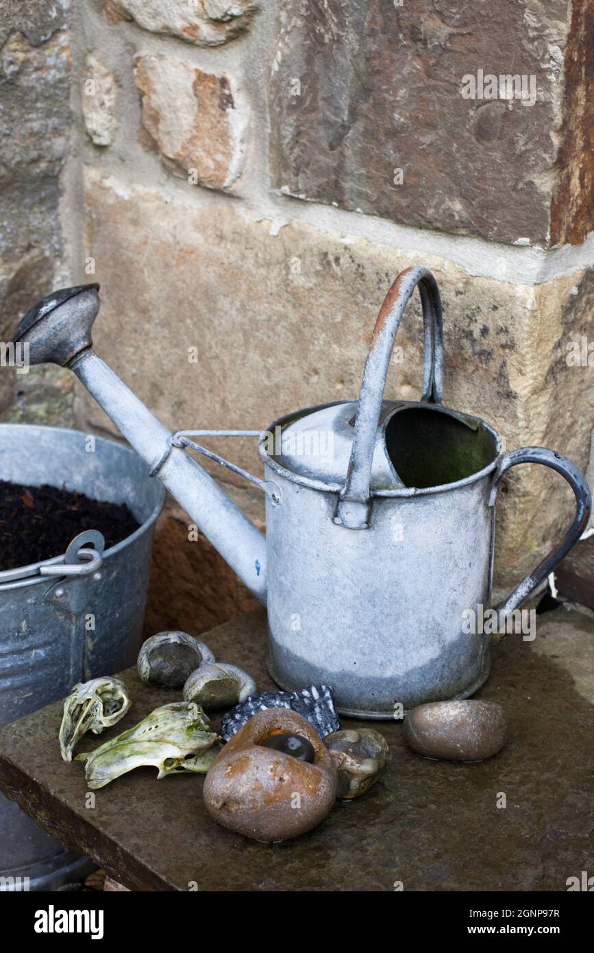 Old fashioned watering can on kitchen step with pebbles, fossils and animal skulls, UK Stock Photo