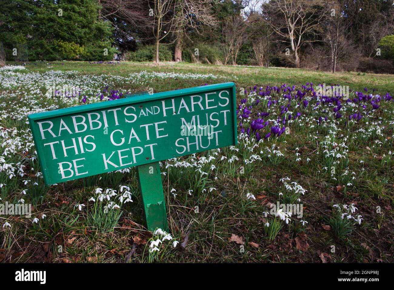 Keep gate closed sign to protect gardens from rabbits and hares, Howick Hall, Northumberland Stock Photo
